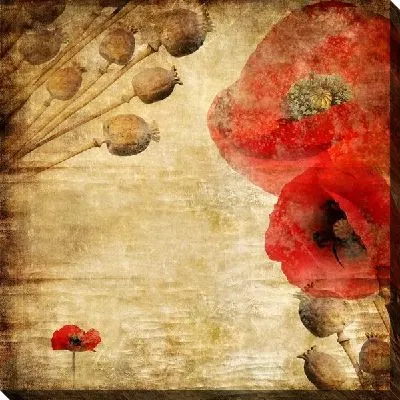 Постер Маки (Poppies) №33