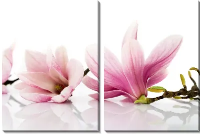 Модульная картина Цветы (Flowers) №106