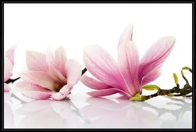Картина Цветы (Flowers) №106