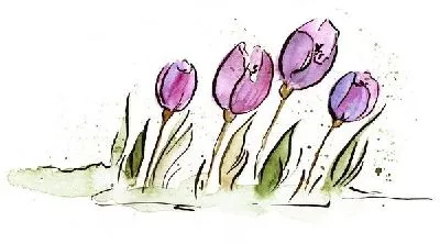 Плакат Тюльпаны (Tulips) №12