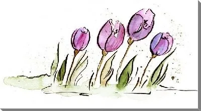Постер Тюльпаны (Tulips) №12