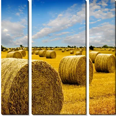 Модульная картина Стога сена (Haystacks) №4