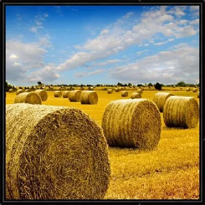 Картина Стога сена (Haystacks) №4