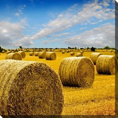 Постер Стога сена (Haystacks) №4