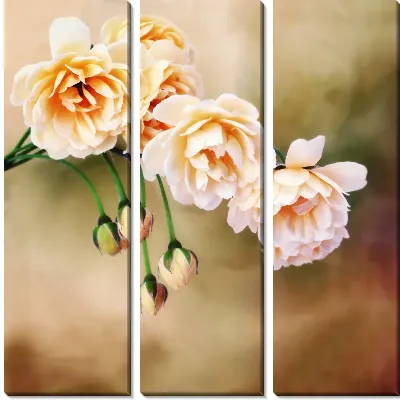 Модульная картина Белые цветы (White flowers) №6