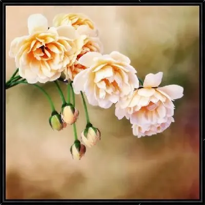 Картина Белые цветы (White flowers) №6