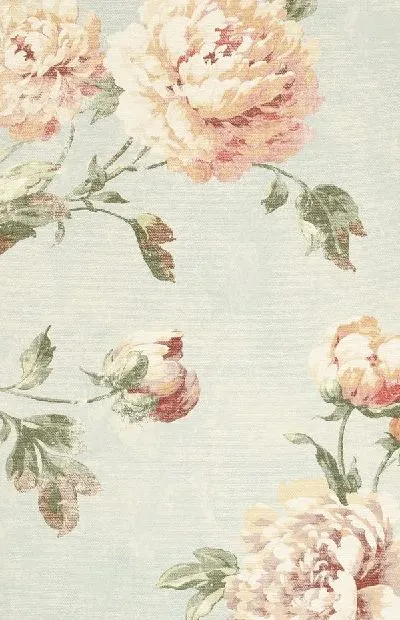 Плакат Пионы (Peonies) №12