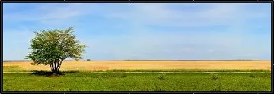 Картина Дерево у поля (Tree in field)