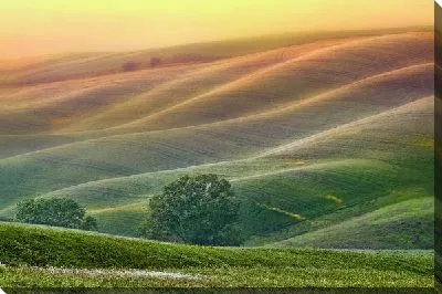 Постер Холмы (Hills) №4