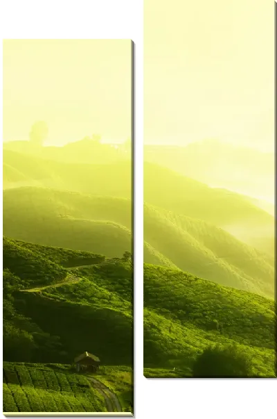 Модульная картина Поля залитые солнечным светом (Fields sunlit)