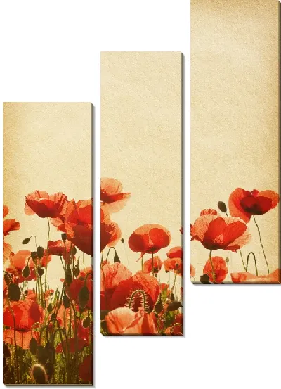 Модульная картина Маки (Poppies) №35