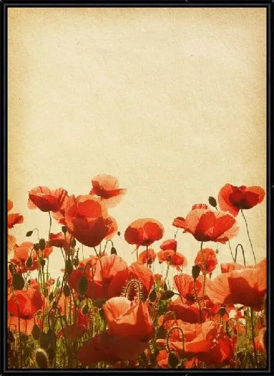 Картина Маки (Poppies) №35