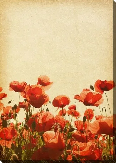 Постер Маки (Poppies) №35