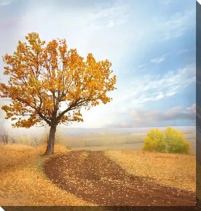 Постер Дерево у дороги (Tree by the road)