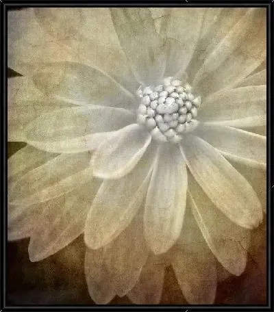 Картина Цветок (Flower) №20