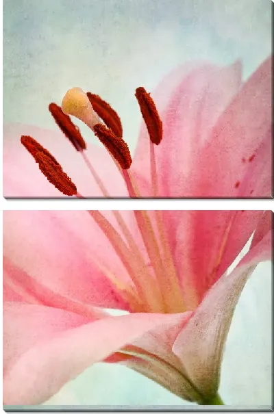 Модульная картина Розовый цветок (Pink flower)