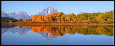 Картина Лес у озера (Woods by the lake)