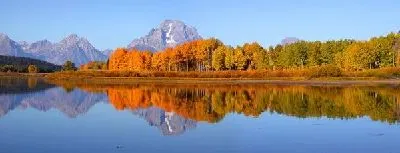 Плакат Лес у озера (Woods by the lake)