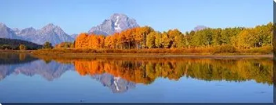 Постер Лес у озера (Woods by the lake)