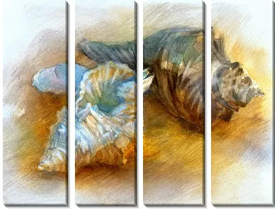 Модульная картина Ракушки (Shells) №3