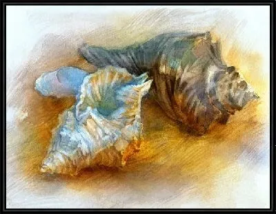 Картина Ракушки (Shells) №3