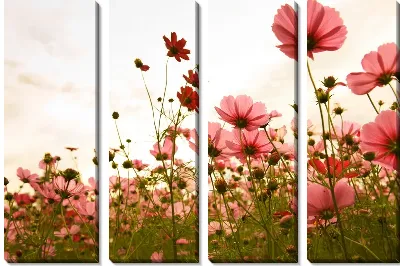 Модульная картина Цветы в поле (Flowers in the field)