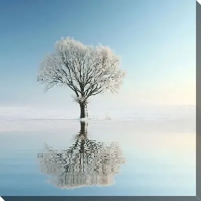 Постер Дерево (Tree) №24