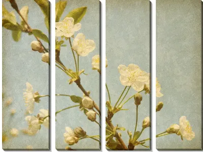 Модульная картина Белые цветы (White flowers) №8