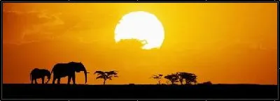 Картина Слоны в Африке (Elephants in Africa)