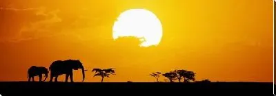 Постер Слоны в Африке (Elephants in Africa)