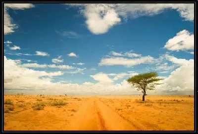 Картина Дорога в пустыне (The road in the desert) №2
