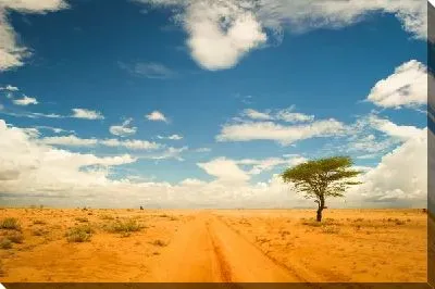 Постер Дорога в пустыне (The road in the desert) №2