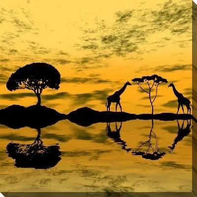 Жирафы в Африке (Giraffes in Africa)