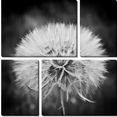 Одуванчик (Dandelion) №3