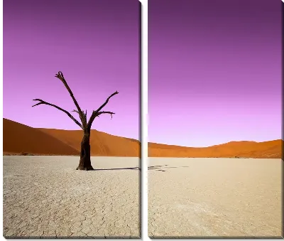 Модульная картина Дерево в пустыне (Tree in the desert) №2