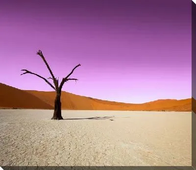 Постер Дерево в пустыне (Tree in the desert) №2