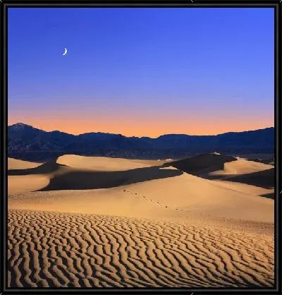 Картина Пустыня (Desert) №6