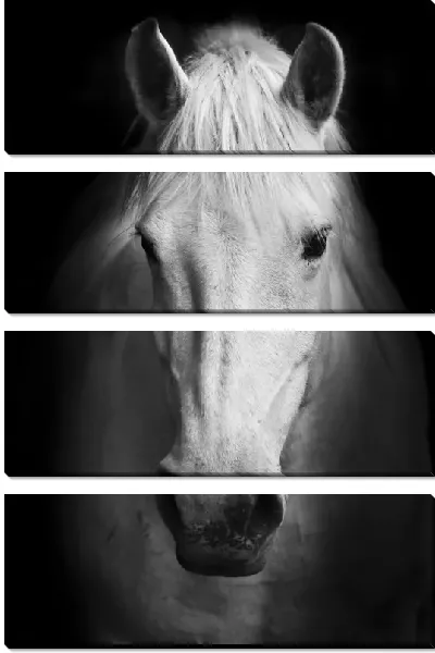 Модульная картина Лошадь (Horse) №12