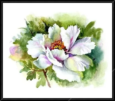 Картина Белый цветок (White flower) №3