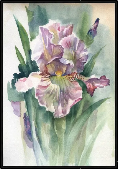 картина