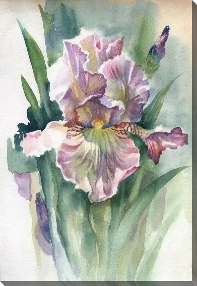 Картина маслом Цветок (Flower) №24