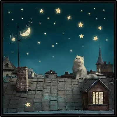 Кот на крыше (Cat on the roof)