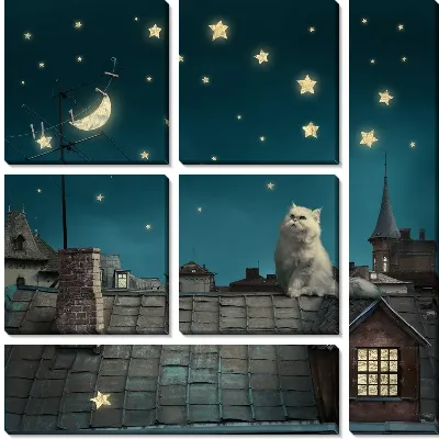 Кот на крыше (Cat on the roof)