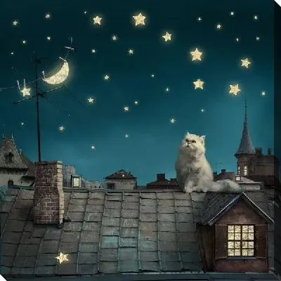 Кот на крыше (Cat on the roof)