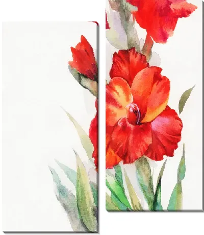 Модульная картина Гладиолус (Gladiolus)