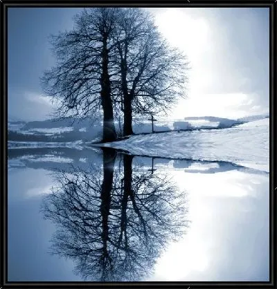 Картина Деревья у озера (Trees by the lake)