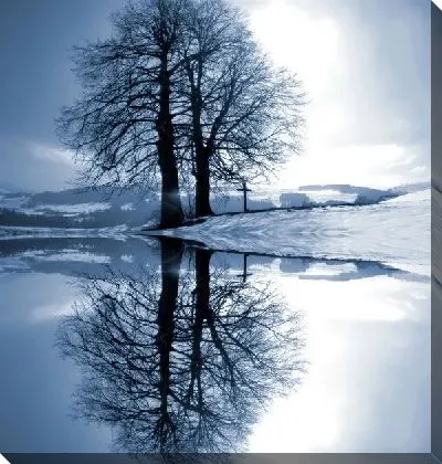 Постер Деревья у озера (Trees by the lake)