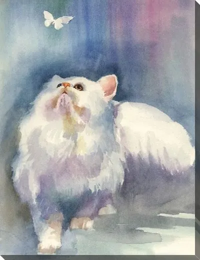 Картина маслом Кот и бабочка (Cat and Butterfly)