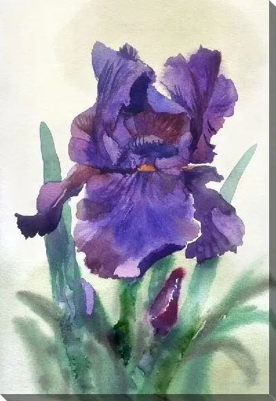 Картина маслом Синий цветок (Blue flower)