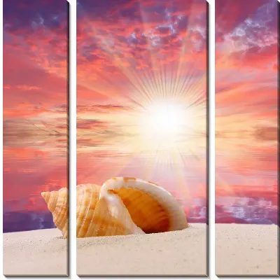 Модульная картина Ракушки (Shells) №4